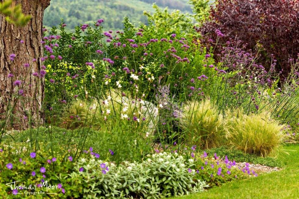 Schönheit im Garten über das ganze Jahr mit Gärten von Moor-Nebel
