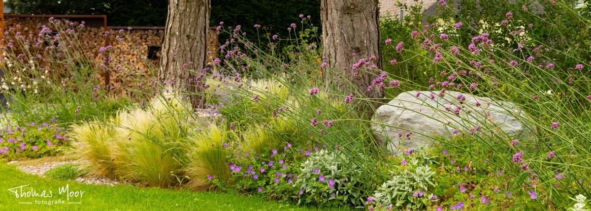 Lust auf moderne Gärten voller Natur?