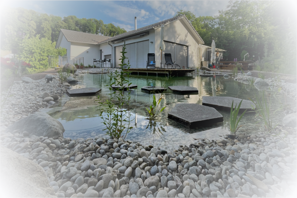 Gestaltung Schwimmteich Moor-Nebel Gärten