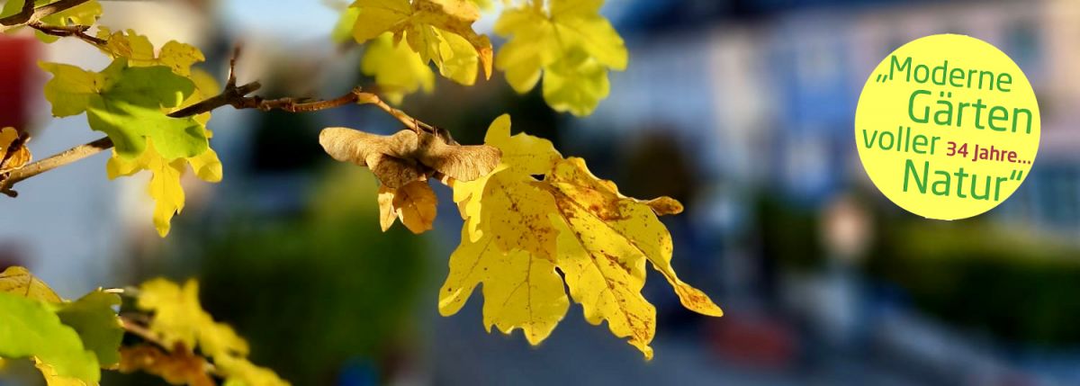 Winterschnitt Aktion